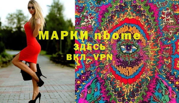 прущие грибы Дмитриев