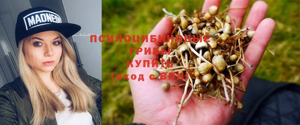 гидра Алзамай