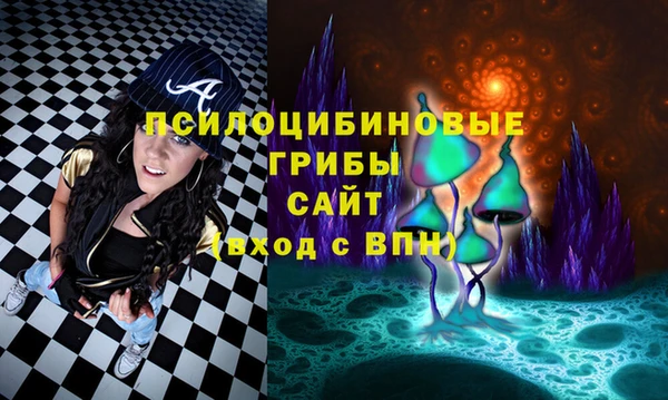гидра Алзамай