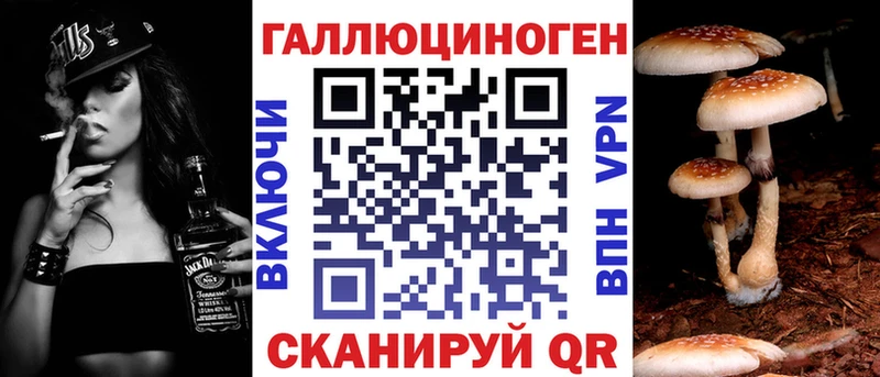 Галлюциногенные грибы Psilocybine cubensis  Тында 
